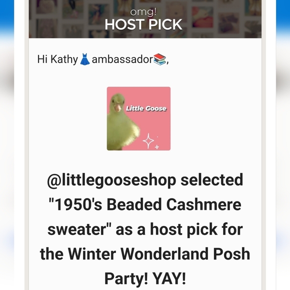 🤩HOST PICK🔥1950's Beaded Cashmere  sweater - Picture 13 of 14